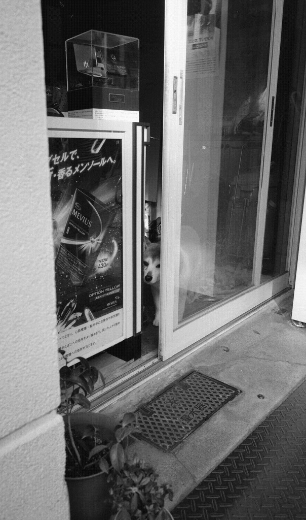 CONTAX G2+プラナー45mm