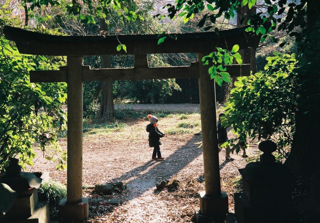 NIKON S+5cm F2