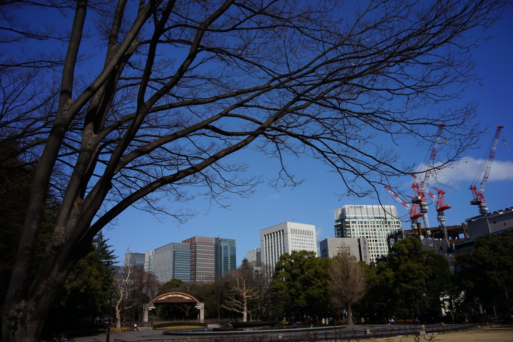 Carl Zeiss Biogon T*2.8/28 ZM(6)
