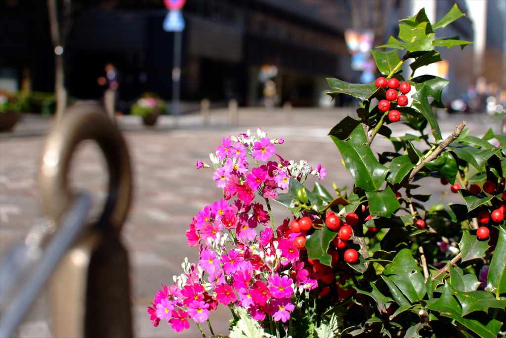 フジフイルム FinePix S5 Pro_2111011949078ｈ