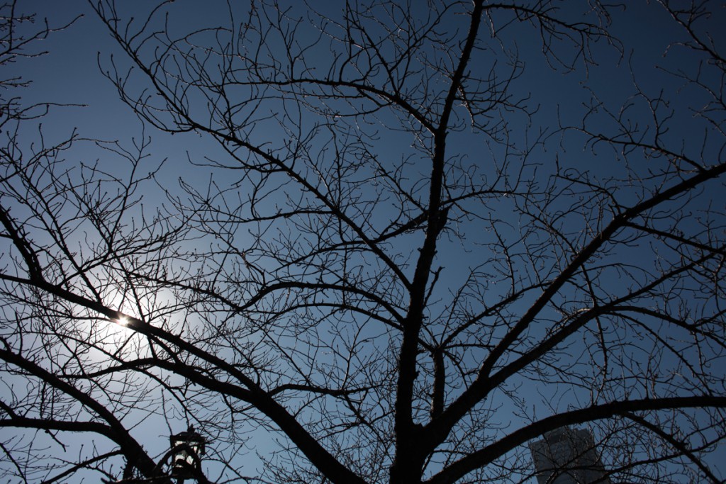 Canon EF24mm F2.8(4)
