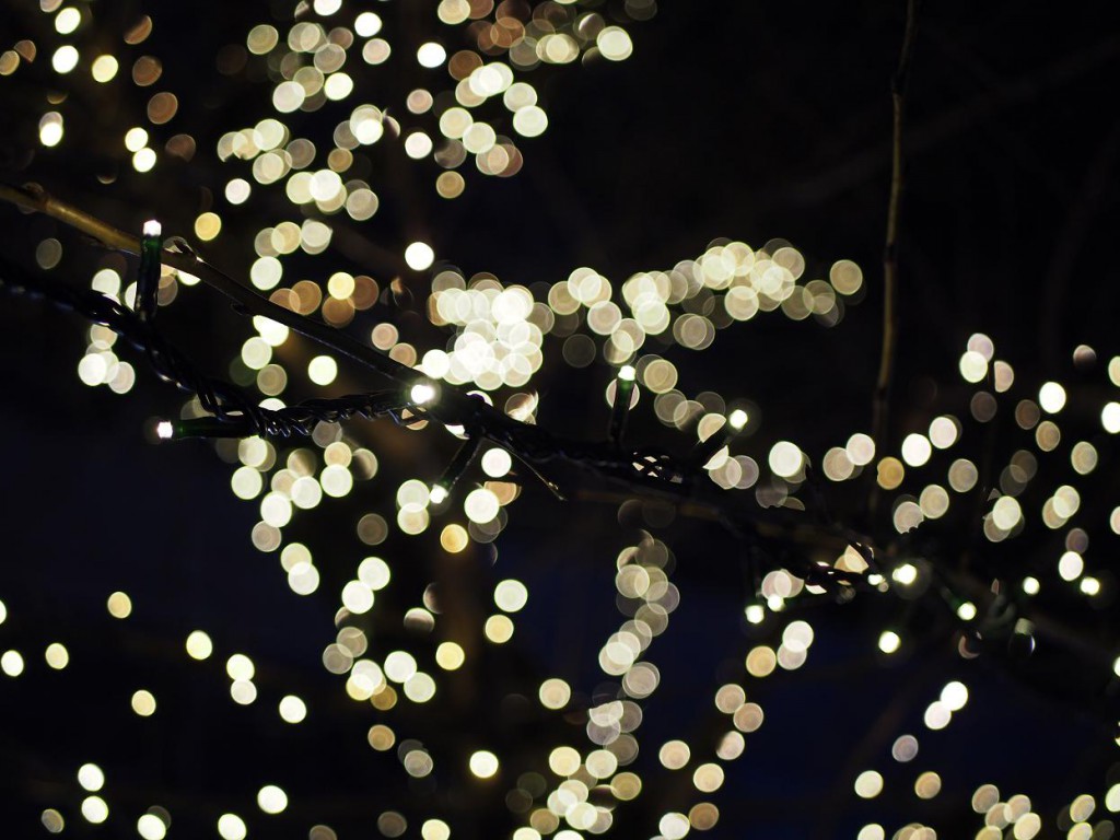 LUMIX G25mm/F1.7 ASPH.