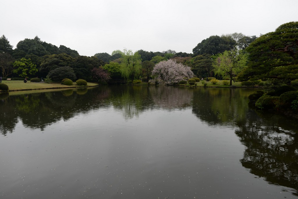 Nikon AF-S NIKKOR 24mm f/1.8G ED(2)