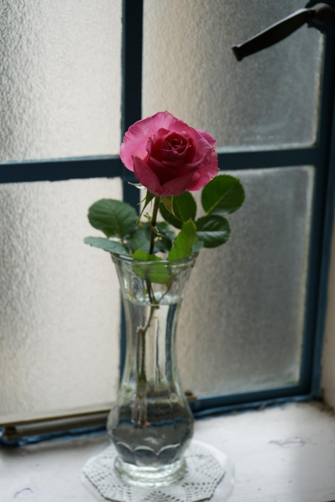 F8　1/400Sec.　28mm