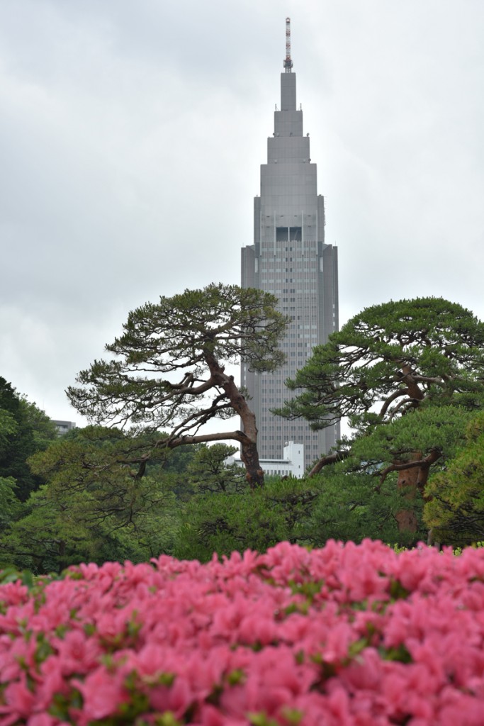 ニコンAI AF Nikkor 50mm f/1.4D(6)