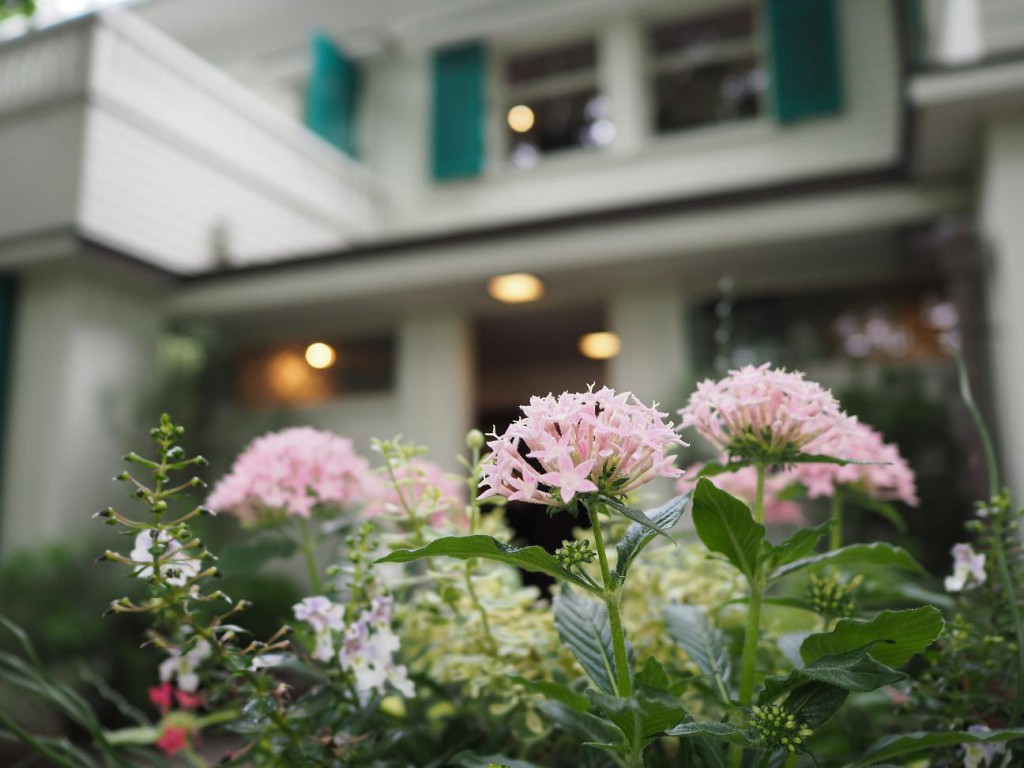 ライカ DGズミルックス15mm/F1.7 ASPH.