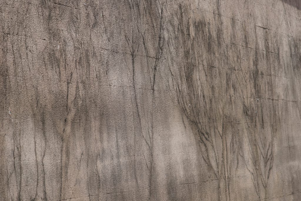 SAL135F18Z(12)