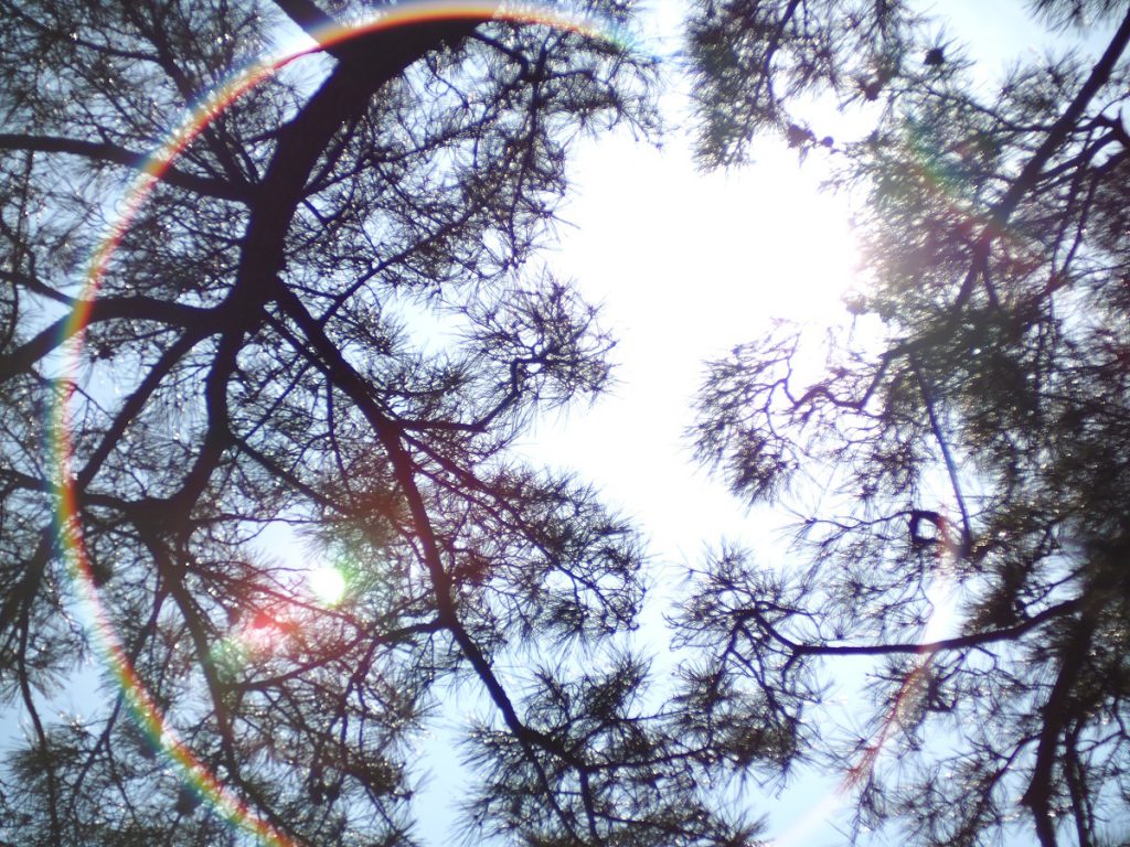 HandeVision IBELUX 0.85/40mm