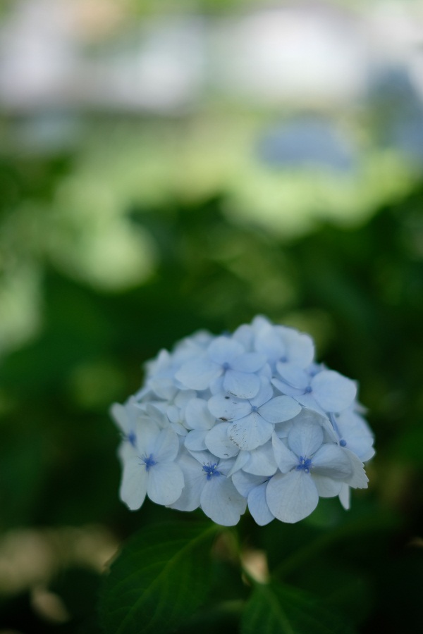 XF35ｍｍF1.4R