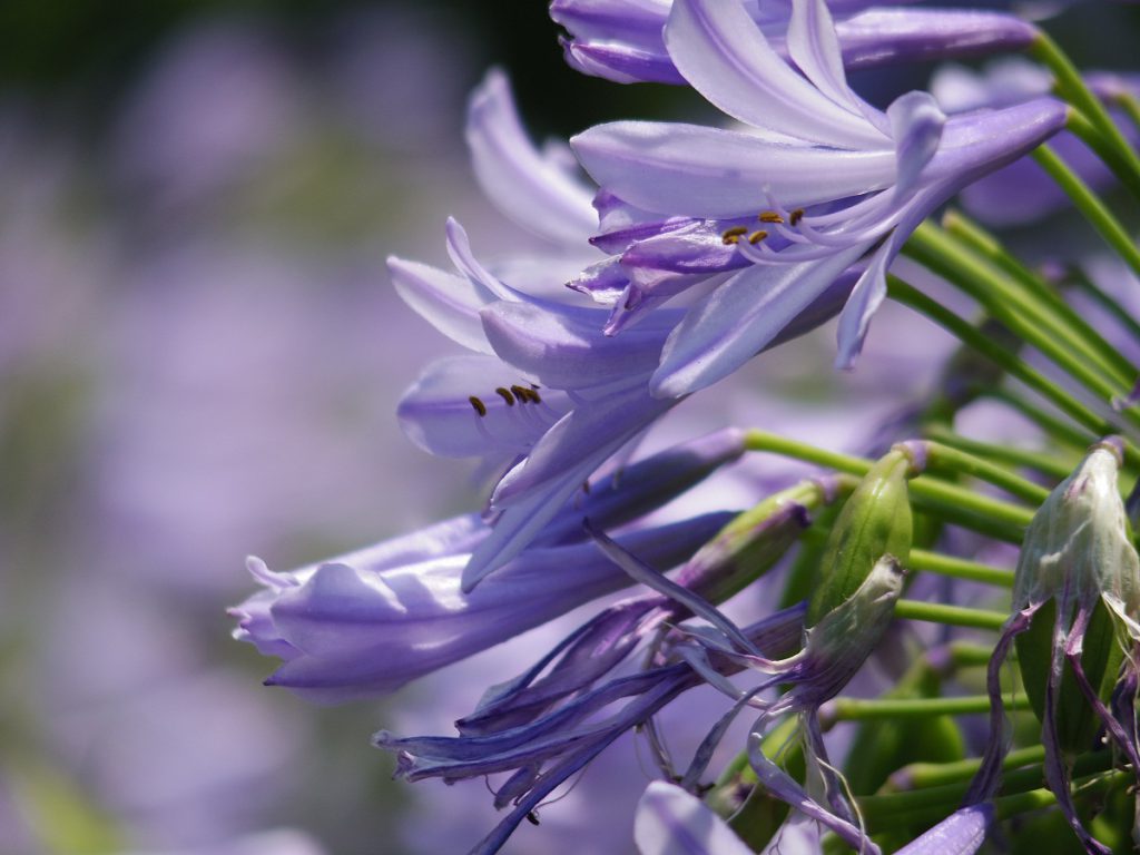 06 TELEPHOTO ZOOM