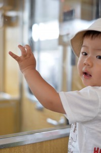 中央部重点