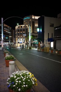 ビオゴン作例1