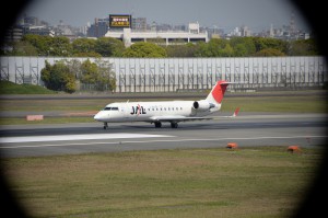ＤＸ非クロップ画像