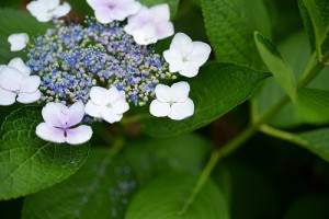 60/2.8開放作例1