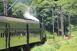 IMG_3920