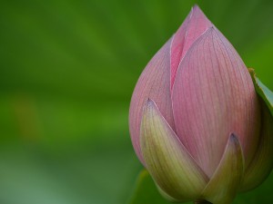 P1030112