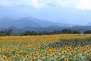 IMG_0633