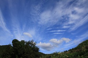 IMG_4418