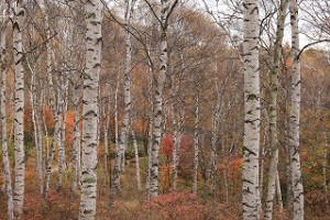 IMG_0689