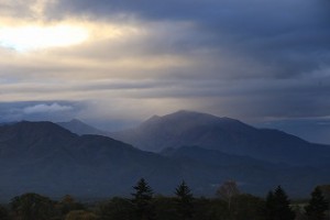 IMG_0711