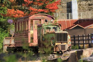 IMG_4510