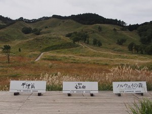 PA050634