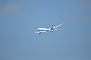 150-600テレコン未使用時