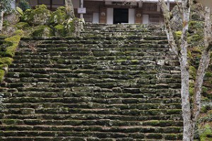 IMG_1534