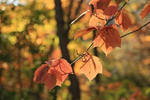 IMG_1580
