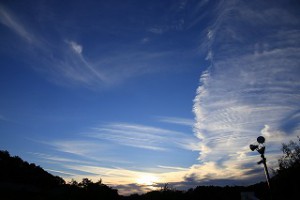 IMG_1621