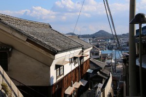 IMG_0798
