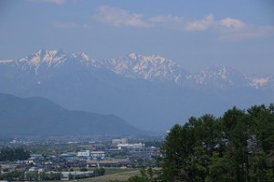 IMG_1059