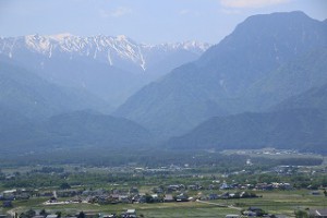 IMG_1061