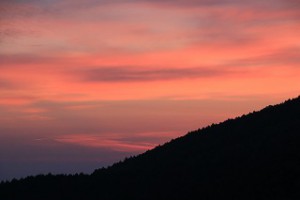IMG_1114