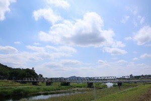 IMG_1238