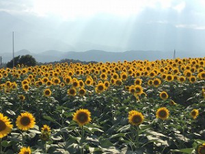 IMG_0015