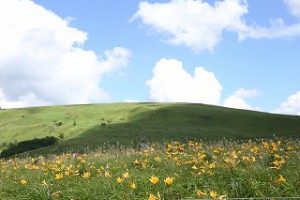 IMG_2086