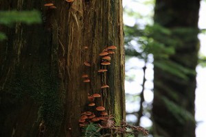 img_2145
