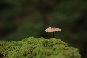 img_2157