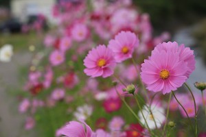 img_2177
