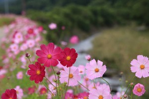 img_2178