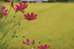 img_2189