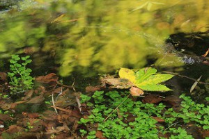 img_2249