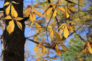 img_2281