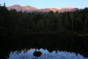 img_2356