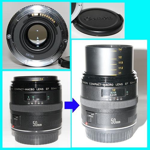 canon50_convert_20110311162803.jpg