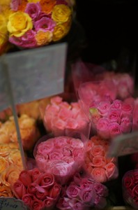 絞り：f1.5開放　使用カメラ：SONY　NEX-6