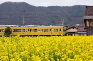 Nikon1 V3+10-30/3.5-5.6VR