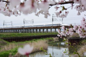 Nikon1 V3+10-30/3.5-5.6VR
