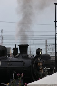 BU6R0498
